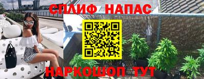 PSILOCYBIN Заволжье