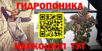 гидропоника Заводоуковск