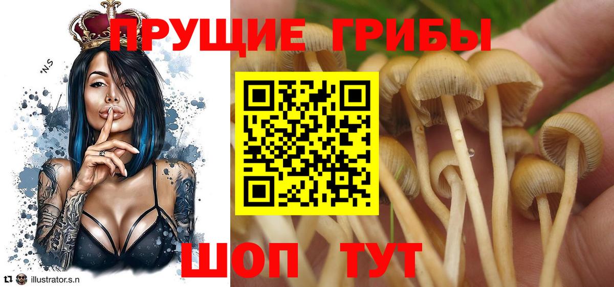 Псилоцибиновые грибы прущие грибы  Псилоцибиновые грибы прущие грибы  Кумертау  Вход с VPN 