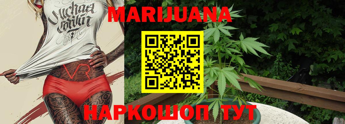 Марихуана Bruce Banner  МАРИХУАНА ГИДРОПОН  Каннабис планчик  Кумертау  Вход с VPN  Бошки марихуана ГИДРОПОН 